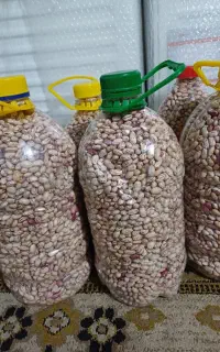لوبیا چیتی تمیز و درشت