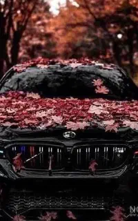 راننده خانم