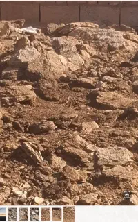 کود گوسفندی