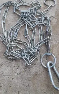 زنجیر سگ