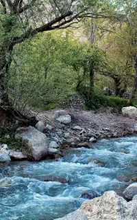 اجاره آب