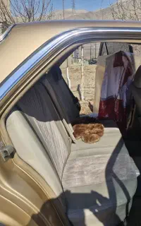 بنز 230 دانشجویی