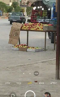 سیپ پادنا شیرین پر اب کیلو سی هزار حراح