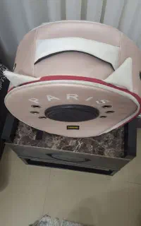 کیف گربه