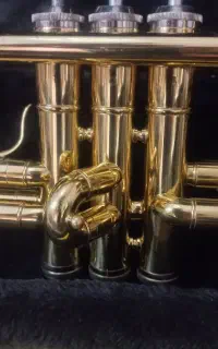 ترومپت پاروت چینی