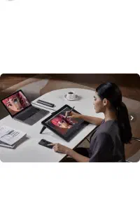 مانیتور گرافیکی ایکس پی پن