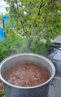 سمنوی خانگی محمدی