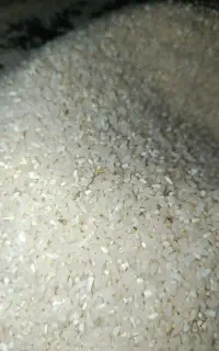 برنج لاشه طارم هاشمی