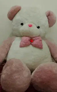 عروسک خرسی