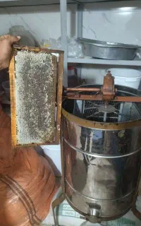 عسل طبیعی