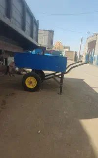 فرغون بتن