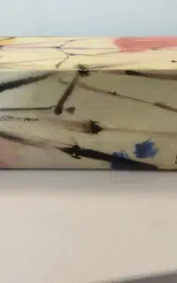 سه پایه دوربین فیلم برداری