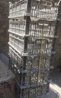 جعبه نو ۶ و ۱۲ کیلویی