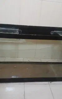 آکواریوم فروشی