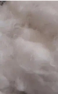 تشک پنبه ای