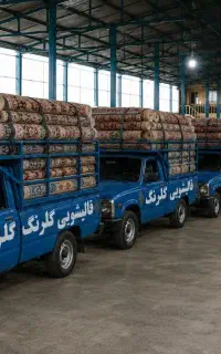 قالیشویی معروف گلرنگ