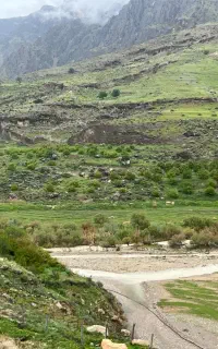 یه کارگر برا ابیاری باغ در روستایی  شاهبهرام