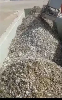 خریدوفروش کود مرغی