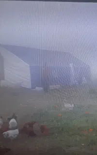 چادر عشایری ۳۲ متری