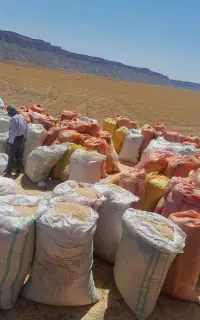کاه گندم دیمه تحویلی