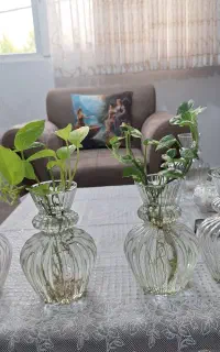گلدان شیشه ای