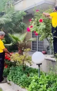 باغبان عاشق دیدن یک باغ، در پایان یک روز سخت است