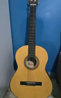 گیتار پارسی مدل M2