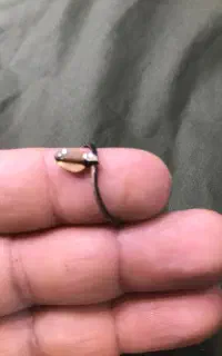کوچک ترین چاقوی جهان1cm