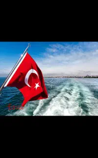 ۲ نفر برای جمع کردن چوب در ترکیه اعزام آنی