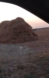 30ملو کاه جو دیم