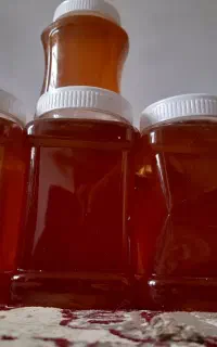 عسل کاملاگیاهی