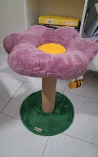 اسکرچر گربه