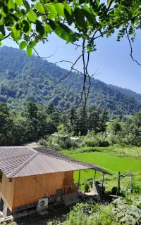 کلبه چوبی جنگلی آرامش