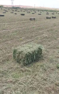 پارساباد روستای سرودلو