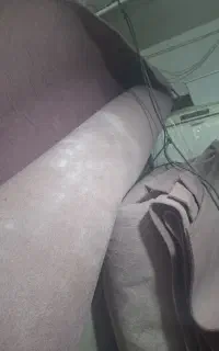 موکت