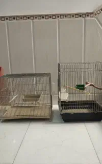 قفس پرنده
