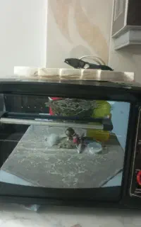 توستر
