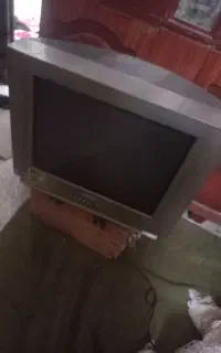 تلوزیون