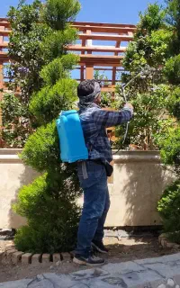 سم پا شی وباغبانی