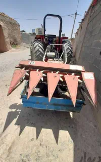 تیلریونجه وعلف زن