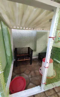 قفس مناسب انواع پرنده