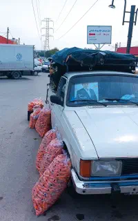 وانت پیکان