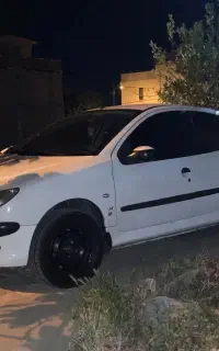 206 sd