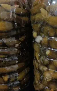 فروش انواع خیارشور و خرید دیه های خیارشور