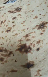 فروش خوراک دام