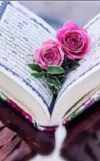 سرکتاب