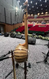 فروش کمانچه حرفه ای