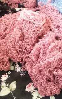 کاموا برای بالیش