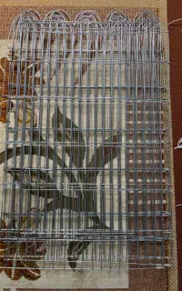 پارک نگهداری سگ و گربه