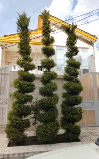 خدمات باغبانی وگلکاری سم پاشی و تعمیر خاک گلدان